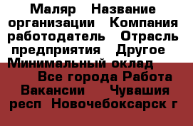 Маляр › Название организации ­ Компания-работодатель › Отрасль предприятия ­ Другое › Минимальный оклад ­ 20 000 - Все города Работа » Вакансии   . Чувашия респ.,Новочебоксарск г.